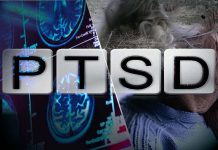 Single-Nucleus Transcriptome Profiling of Dorsolateral Prefrontal Cortex: Mechanistic Roles for Neuronal Gene Expression, Including the 17q21.31 Locus, in PTSD Stress Response