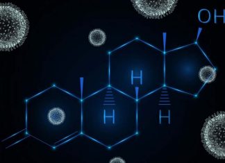 COVID-19 may deplete testosterone levels in males