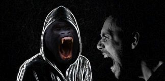Aggression is an innate hardwired behavior in the brain