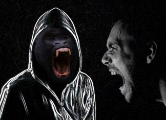 L’aggressività è un comportamento innato cablato nel cervello