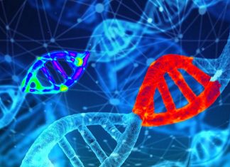 Ancient DNA elements buried in our genome can activate a powerful immune response to kill cancer cells