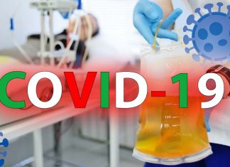 COVID-19: il plasma convalescente non riduce le loro possibilità di ammalarsi gravemente o di morire
