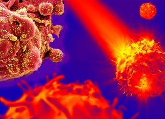 COVID-19: New cell-free test looks at protein interactions