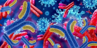 COVID-19: Researchers found that antibody CV30 is 530 times more potent than any of its competitors