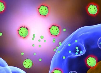 Extracellular vesicles (EVs) are promising tools for the next generation of therapies