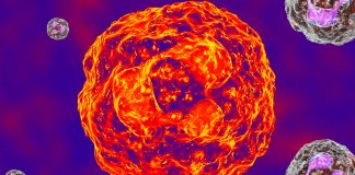 The Granulocytes may be key to treating incurable neurological diseases
