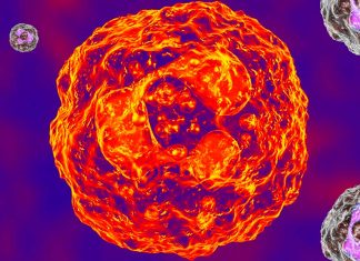 The Granulocytes may be key to treating incurable neurological diseases