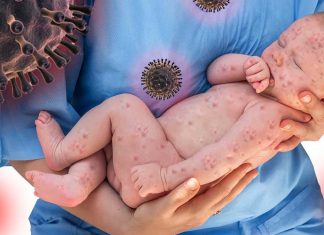 L’infezione da herpes virus simplex di tipo 1 può diffondersi e compromettere lo sviluppo del cervello fetale umano