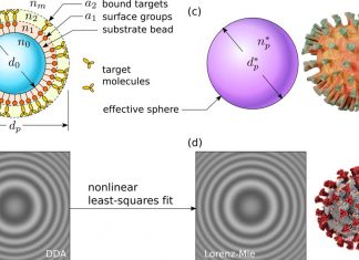 COVID-19: A new technological method uses holographic imaging to detect both viruses and antibodies