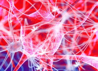 Motor neuron disease (MND): the block of STING immune sensor prevent inflammation from patient cells