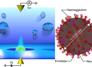 Nanopore : Israeli single-molecule method for coronavirus testing reduce by 100-fold the quantity of chemicals needed