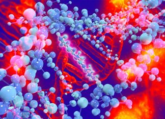 Transposons inserted in genes can disrupt their function and impair important cell processes