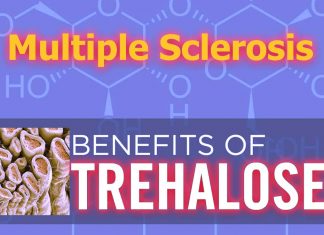 The sugar Trehalose restores the functional breakdown of myelin residues – stops the progression – leads to recovery from multiple sclerosis-like disease