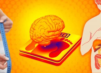 Weight loss isn’t simply a matter of willpower