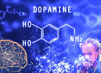 Dopamine levels in the brain may influence the mobility of elderly and frail adults