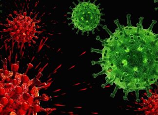 Researchers identified 74 high-value fragment to fight COVID-19 virus