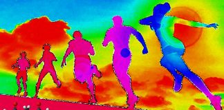 Glutamine protects against muscle injuries and aging – hope for the treatment of degenerative muscle conditions