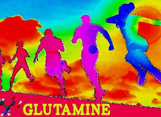 Glutamine protects against muscle injuries and aging – hope for the treatment of degenerative muscle conditions