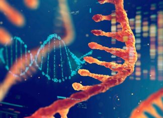miR-128-1 MicroRNA is associated with energy storage and metabolic diseases such as obesity, insulin resistance and type 2 diabetes