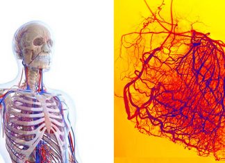 Influenza dell’ozono terapia sulla cinetica del metabolismo dell’ossigeno e del sistema di microcircolazione nel trattamento dei pazienti postinfarto