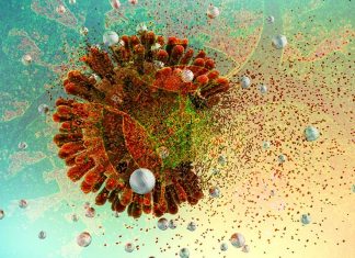 COVID-19 vaccine : mimicking the structure and converting RBD into a nanoparticle it would generate higher levels of neutralizing antibodies