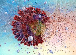 Vaccino COVID-19: imitando la struttura e convertendo l’RBD in una nanoparticella genererebbe livelli più elevati di anticorpi neutralizzanti