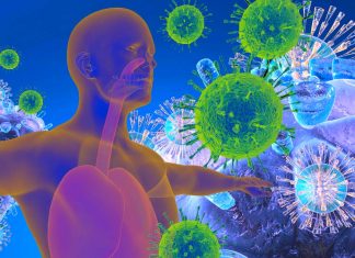 La sostituzione dell’asfalto nelle aree giochi degli asili nido con vegetazione naturale può portare a difese immunitarie più forti nei bambini