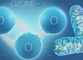 Effect of Ozone Therapy and Nauheim Baths on Patients with Cardiovascular Disease