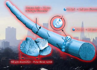 First nationwide analysis of the link between fine particulate (PM2.5) pollution and neurodegenerative diseases in the U.S.