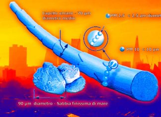 Prima analisi a livello nazionale del legame tra inquinamento da particolato fine (PM2,5) e malattie neurodegenerative negli Stati Uniti