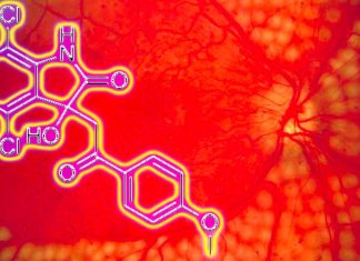 The small molecule YK-4-279 can help to treat premature babies and diabetic patients to reversing vision loss