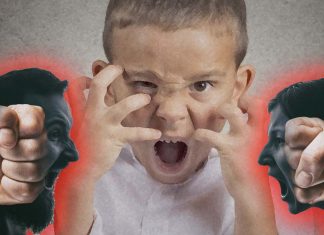 Aggression-driving circuits varies across species
