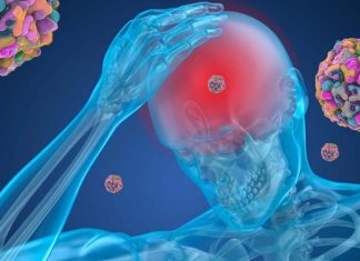 Altered microRNA levels in a person’s saliva can help determine if they have experienced a recent concussion