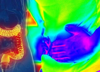 BCAP protein could help the body repair intestinal tissue from damage caused by inflammation