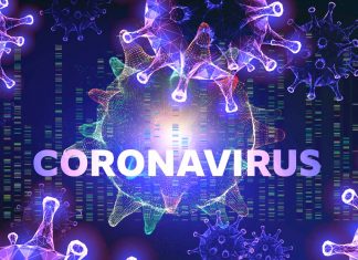 COVID-19: HOW OZONE WORKS TOWARDS VIRUSES AND THEIR GENOME