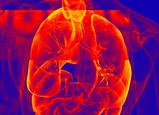 Investigations of deceased COVID-19 patients have shed light on possible lung damage caused by the virus