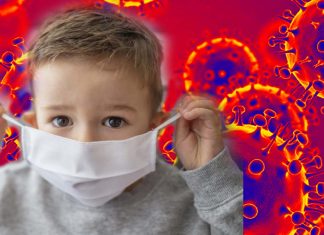 Bambini e adulti producono diversi tipi e quantità di anticorpi in risposta all’infezione con il nuovo coronavirus