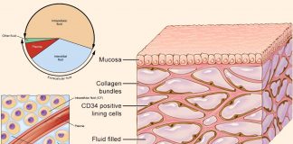 Dermal interstitial fluid (ISF) could be a new source of biomarkers