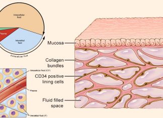 Dermal interstitial fluid (ISF) could be a new source of biomarkers