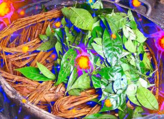 Dimethyltryptamine (DMT) is the main natural components of ayahuasca tea and promotes neurogenesis