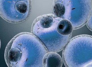 COVID-19: How can IL-33 help defend the body from parasitic infections but also suppress chronic inflammation in disease?