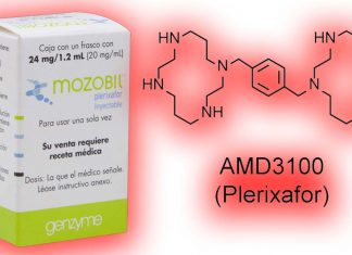 Plerixafor: double boost against cancer