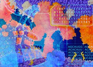 Researchers have discovered the mother of all SARS-CoV-2 genomes