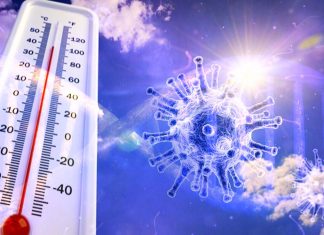 SARS-CoV-2 pandemic: Why do most viral epidemics spread cyclically in autumn and winter in the globe’s temperate regions?