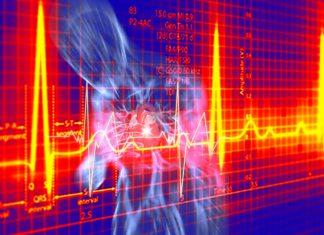 The hormone calcitonin could provide new treatment for heart rhythm disorder