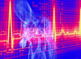 L’ormone calcitonina potrebbe fornire un nuovo trattamento per i disturbi del ritmo cardiaco