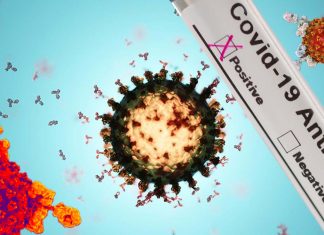 COVID-19 : confirmed that antibodies are detected up to 3 months after infection