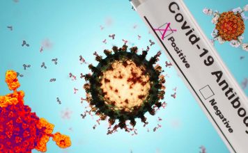 COVID-19 : confirmed that antibodies are detected up to 3 months after infection