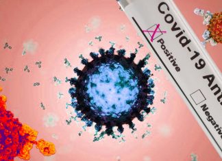 COVID-19: confermato che gli anticorpi vengono rilevati fino a 3 mesi dopo l’infezione