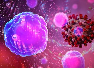 Report Covid-19: solo il 4% dell’insufficienza respiratoria è causata dalla tempesta di citochine